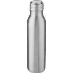 Harper 700 ml stainless steel water bottle with metal loop Silver