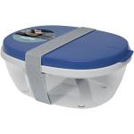 Mepal Ellipse Salatbox Navy