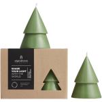 Originalhome Weihnachtsbaum Kerze M, 2er Set Mintgrün