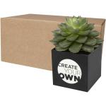 Hey Pots aluminium planted pot - cactus Black