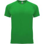 Bahrain short sleeve men's sports t-shirt, fern green Fern green | L