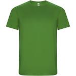 Imola short sleeve men's sports t-shirt, fern green Fern green | L