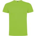 Dogo Premium short sleeve men's t-shirt, oasis green Oasis green | L