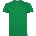 Dogo Premium short sleeve men's t-shirt, tropical green Tropical green | L