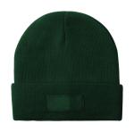 Holsen winter hat Green