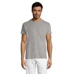 REGENT Uni T-Shirt 150g, gray Gray | XXS
