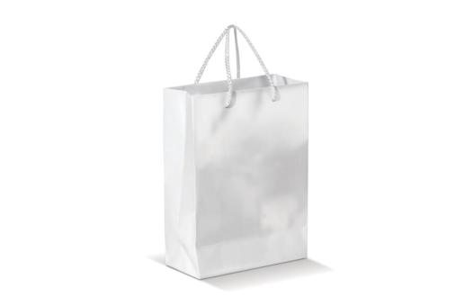 Paper bag large White