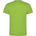 Dogo Premium short sleeve men's t-shirt, oasis green Oasis green | L