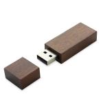 USB Stick Holz Rectangle Walnut | 1 GB