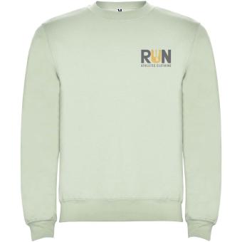 Clasica Sweatshirt mit Rundhalsausschnitt Unisex, Nebelgrün Nebelgrün | XS