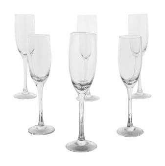 Knifto champagne glass set Transparent