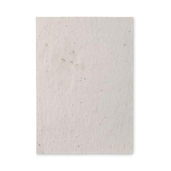 ASIDE A5 wildflower seed paper sheet White