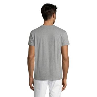 REGENT Uni T-Shirt 150g, gray Gray | XXS