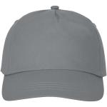 Feniks 5 panel cap Convoy grey