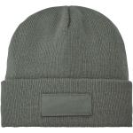 Boreas beanie with patch Green