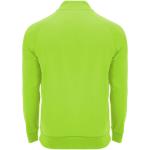 Epiro long sleeve unisex quarter zip sweatshirt, fluor green Fluor green | L