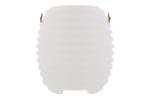 1626 | CoolLux Mini moodlight and wireless speaker White