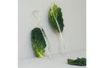 Sagaform Acrylic Picknick-Salatbesteck 2er-Set Transparent