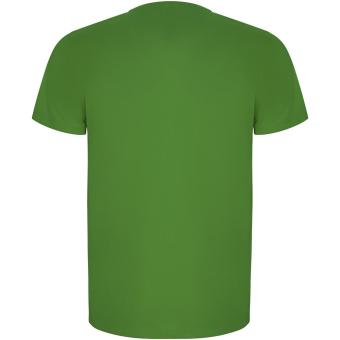 Imola short sleeve men's sports t-shirt, fern green Fern green | L