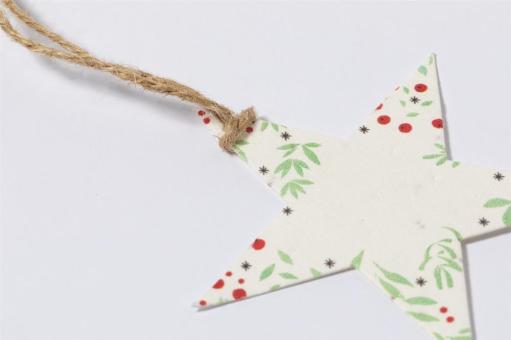 Boster Christmas tree ornament, star Nature