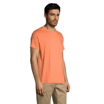 REGENT Uni T-Shirt 150g, apricot Apricot | XS