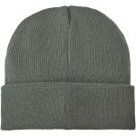 Boreas beanie with patch Green