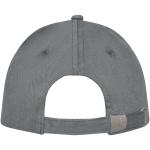 Doyle 5 panel cap Convoy grey