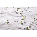 ASIDE A5 wildflower seed paper sheet White