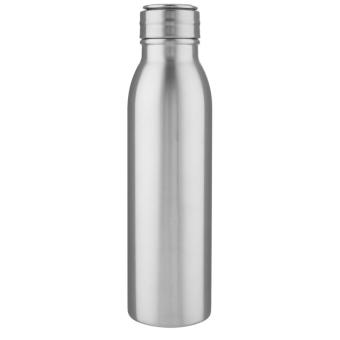 Harper 700 ml stainless steel water bottle with metal loop Silver