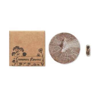 FLOMIX Samen Sommerblumen Beige