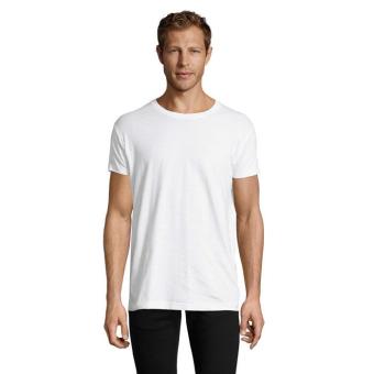 REGENT FIT REGENT F HERRENT-SHIRT 150g 