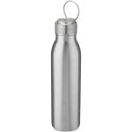 Harper 700 ml RCS-zertifizierte Sportflasche aus Edelstahl mit Metallschlaufe Silber