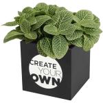 Hey Pots aluminium planted pot - succulent Black