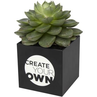 Hey Pots aluminium planted pot - cactus Black