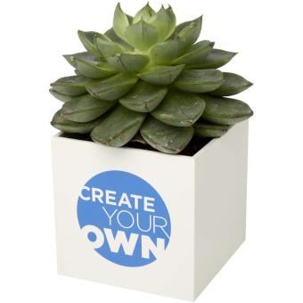 Hey Pots aluminium planted pot - cactus White