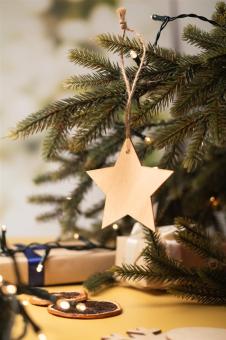 Rosvik Christmas tree ornament, star Nature