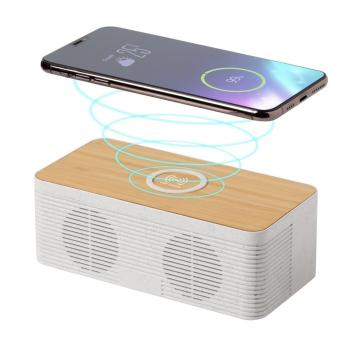 Trecam charger bluetooth speaker Nature